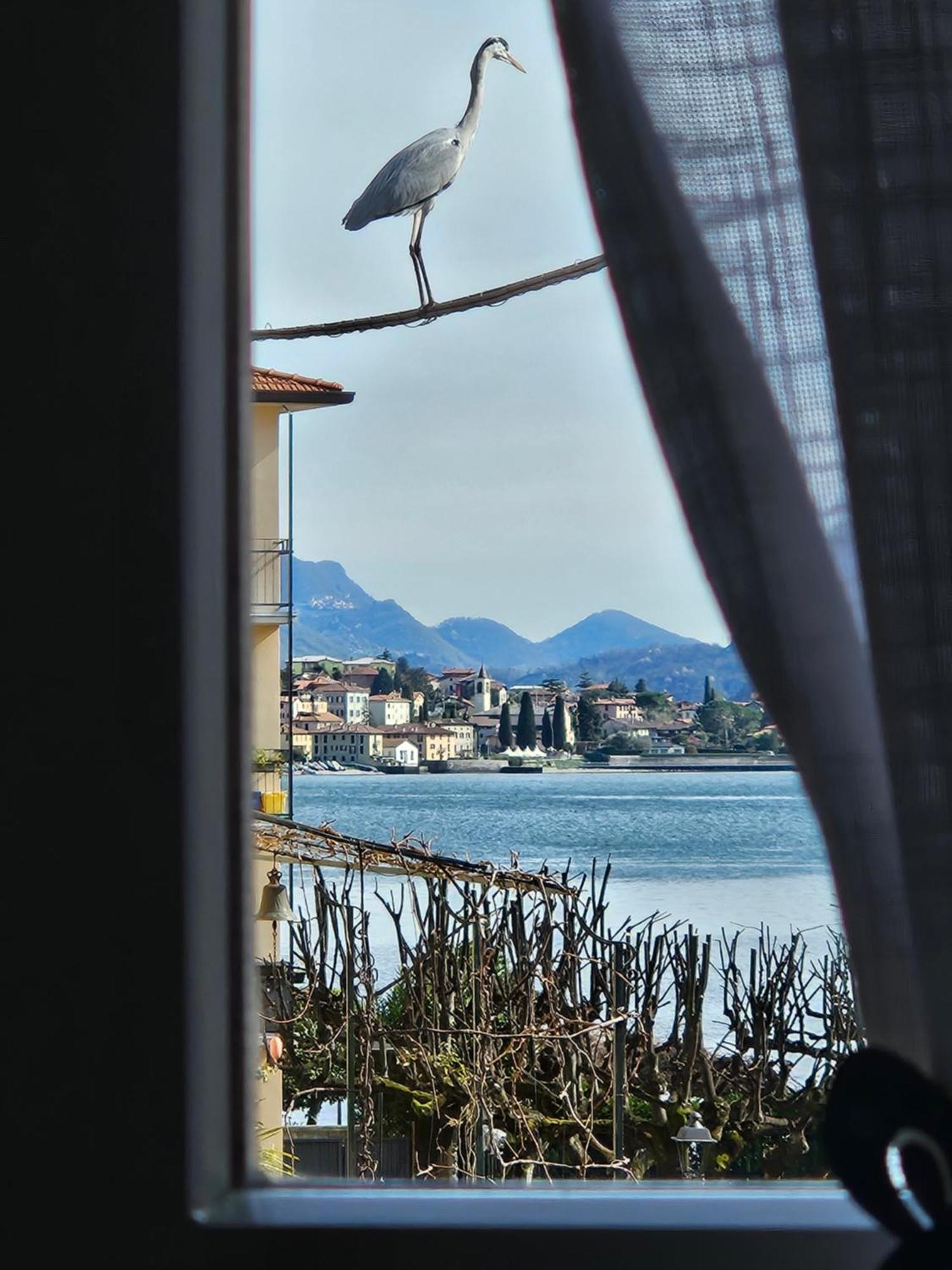 L'Airone - Casa Vacanza Манделло-дель-Ларио Экстерьер фото