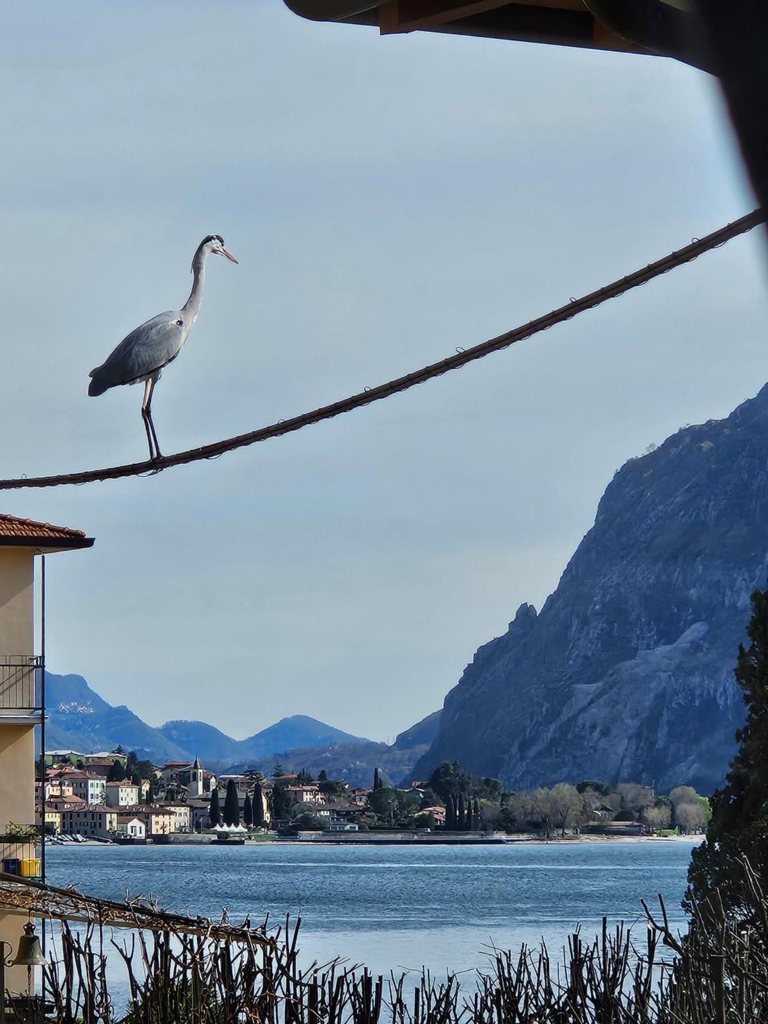 L'Airone - Casa Vacanza Манделло-дель-Ларио Экстерьер фото