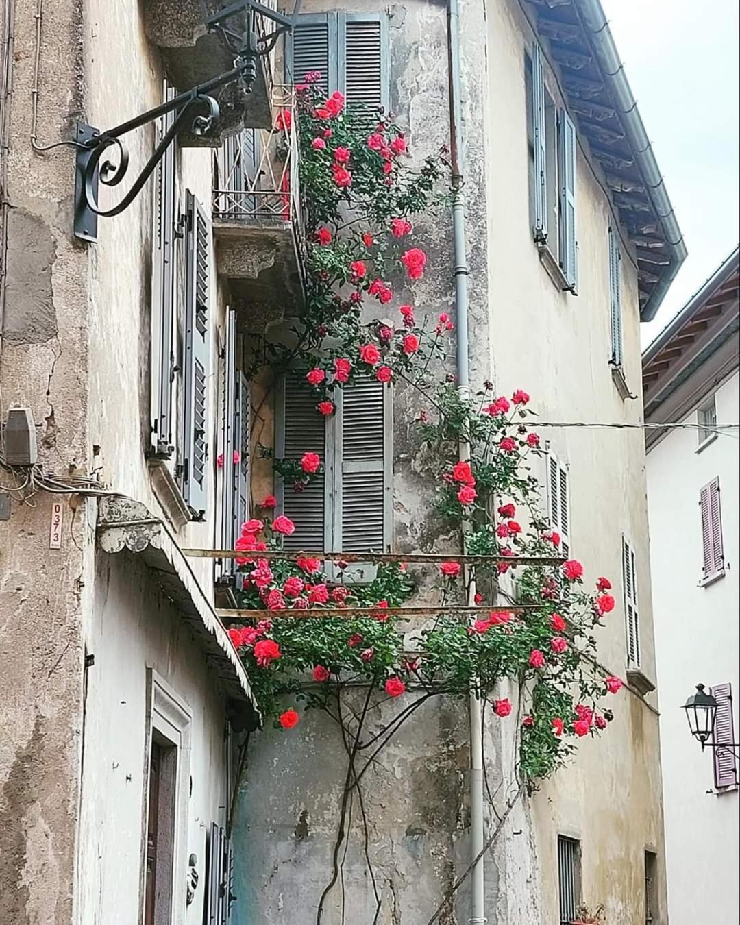 L'Airone - Casa Vacanza Манделло-дель-Ларио Экстерьер фото